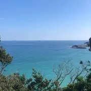 いちの画像