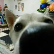 sakiiii♡の画像