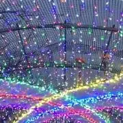 みちの画像