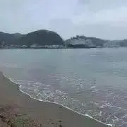 キハダ