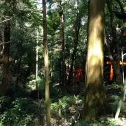 lop@@@の画像