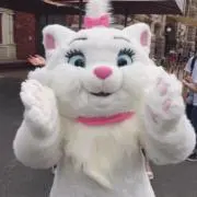 Mの画像