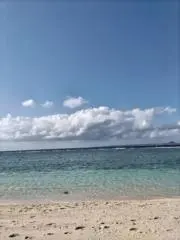 ネロの隠れ家の画像