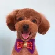 BIMの画像