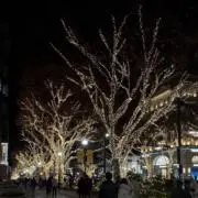 yuの画像