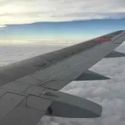 DDコングの画像