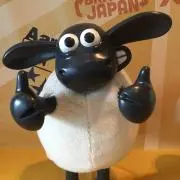 こぶちゃんの画像