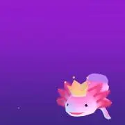 たまにくる