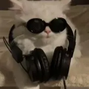 nyan