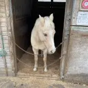 kurutoの画像