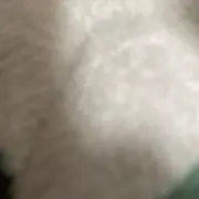 ！の画像