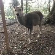 おっくんの画像