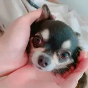 nnプロフィール見てください。の画像