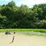 daisukechanman