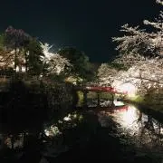 ハロータワーの画像