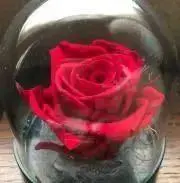 Umの画像