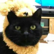 たろ。