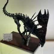 ポメの画像