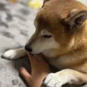 あっしぃ0523