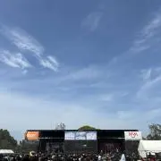 めるるの画像