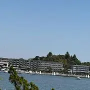 アビビ