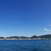 Momoの画像
