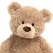 ぽんの画像