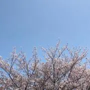 me.土日のみ発送可能の画像