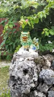 まろりんの画像