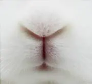 ゆーり。