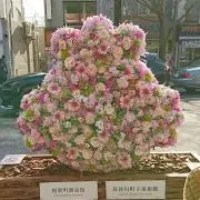 じゅんの画像