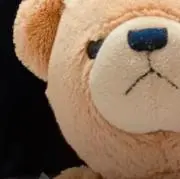生茶の画像