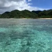 さつの画像