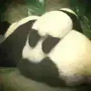 かなこ★の画像