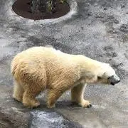 ハイボールの画像
