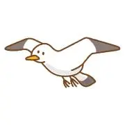 カモメの画像
