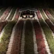 よしのぶの画像