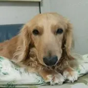みんみ