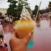 やんやん