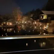 さかざかの画像