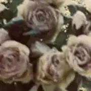 fleur