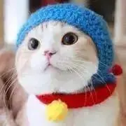 たっく