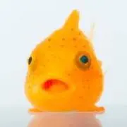 サカナ!8/11まで発送不可の画像