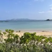 えびアボカドの画像