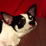 RIE
