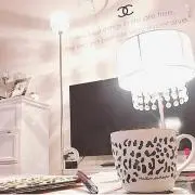 yの画像