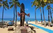 makani@24時間以内発送の画像