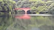 Whitemaniaの画像
