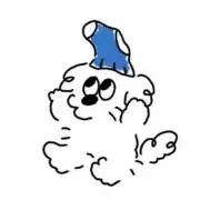 こあらのまーちの画像