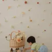 mの画像